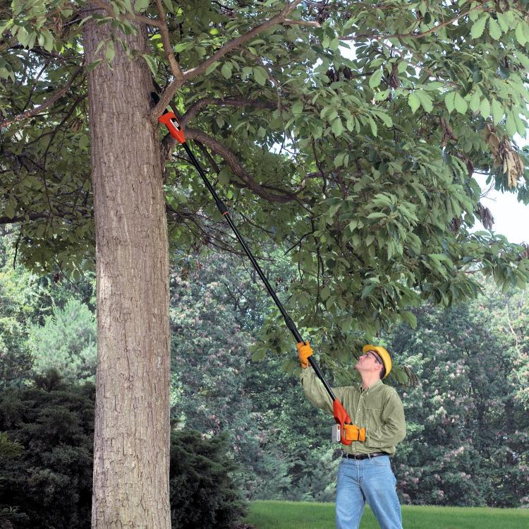 A man wearing a green shirt and jeans is trimming heightened branches with long reach electric saw in a garden
