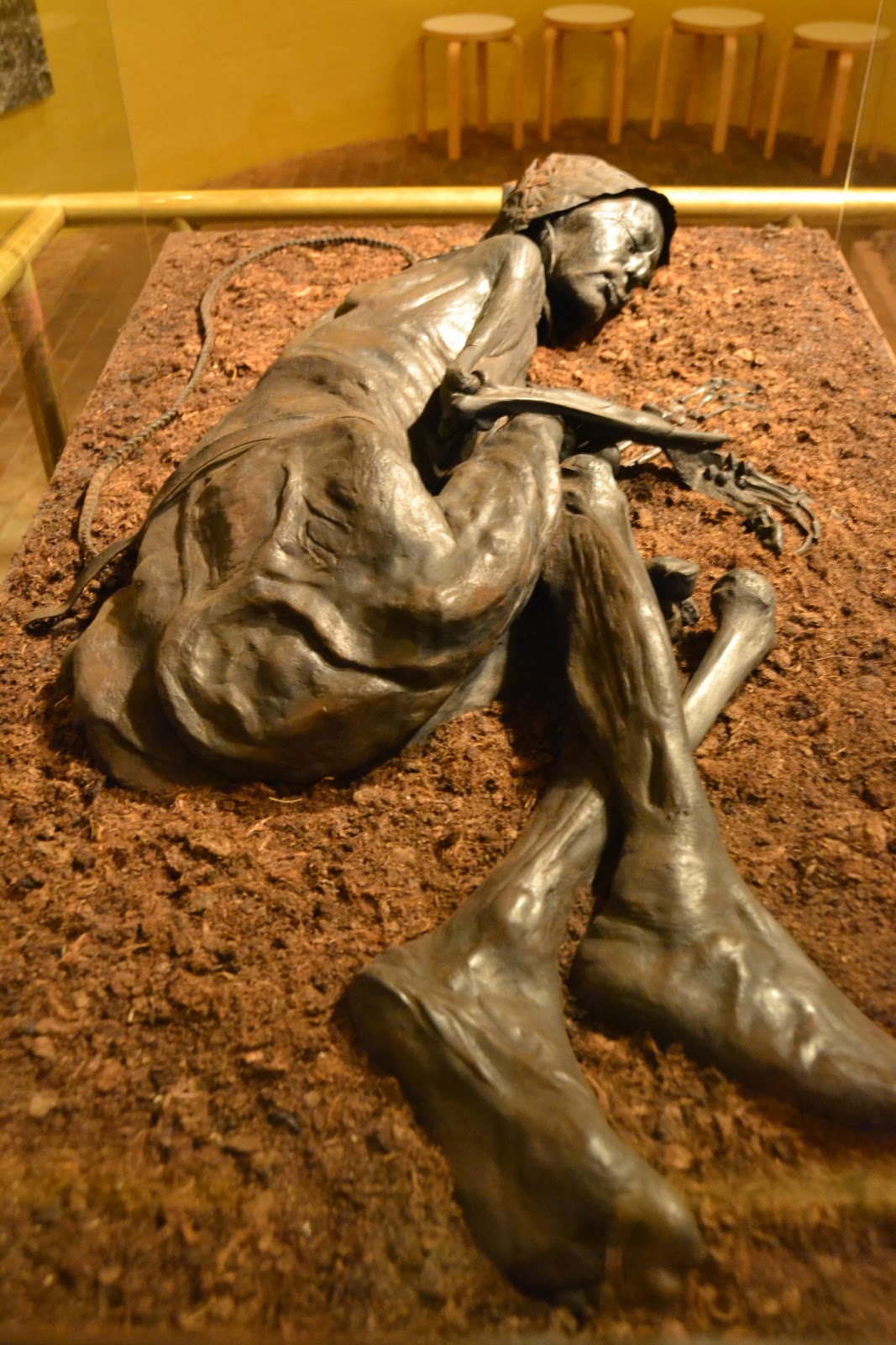Overview of the whole tollund man mummy placed in a box filled with sand