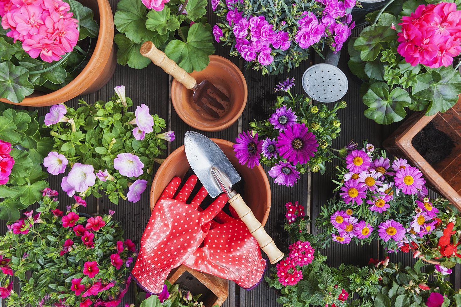 16 Unique Yard Tools That Will Change Your Gardening Forever