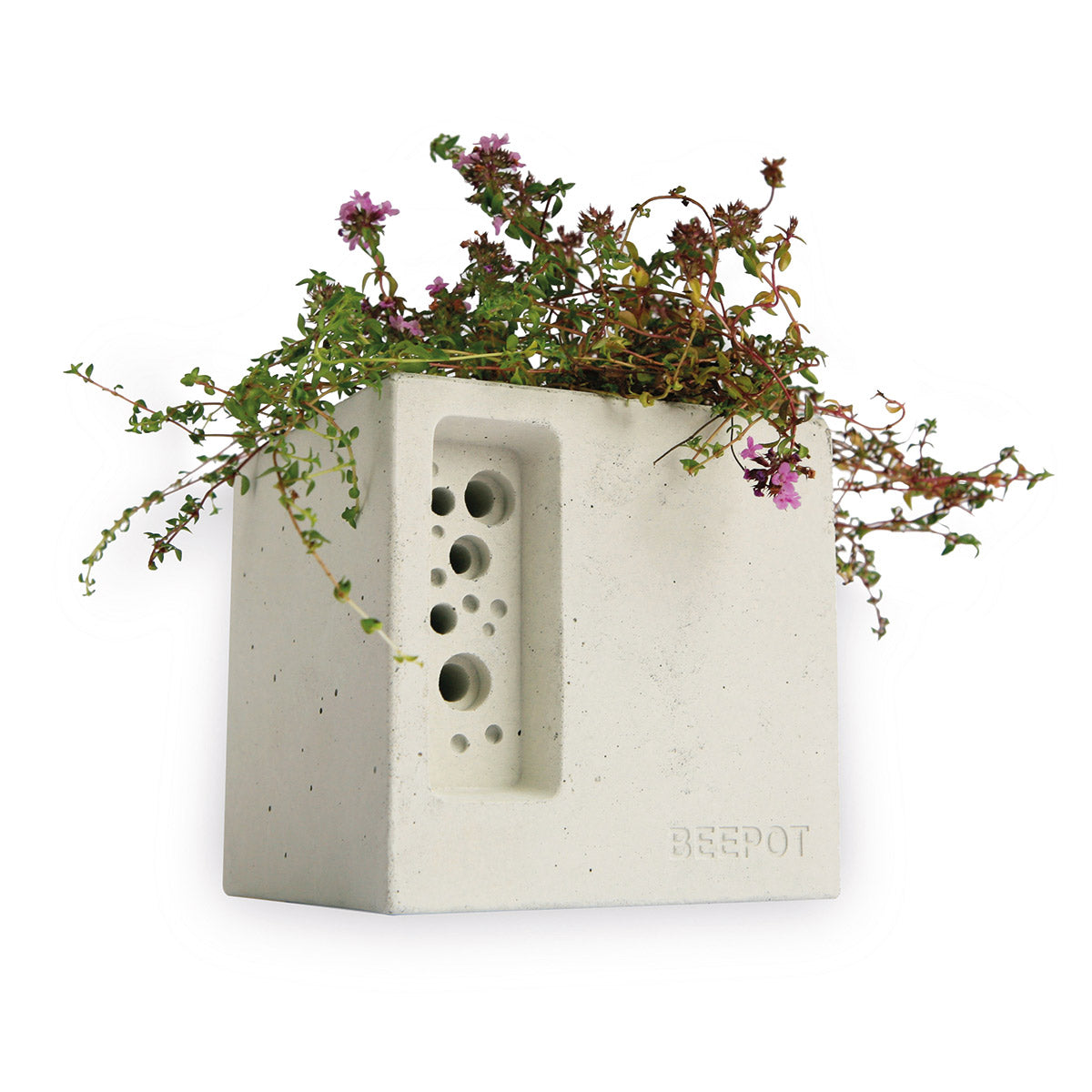 A purple-flowered plant in a white plant pot bee brick set