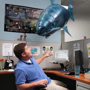 Grey-colored Remote Control Flying Shark moving towards a man sitting on a chair