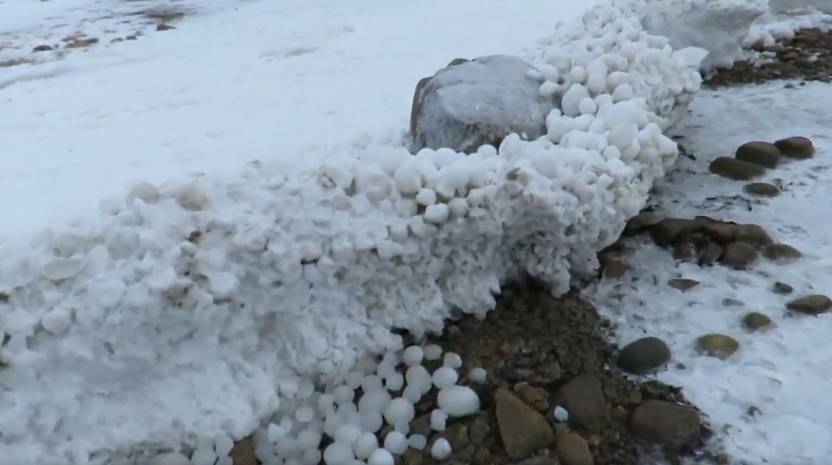 A close up shot of thousands of ice eggs on beach