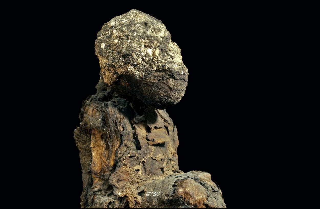 Ancient mummified baboon on a black background