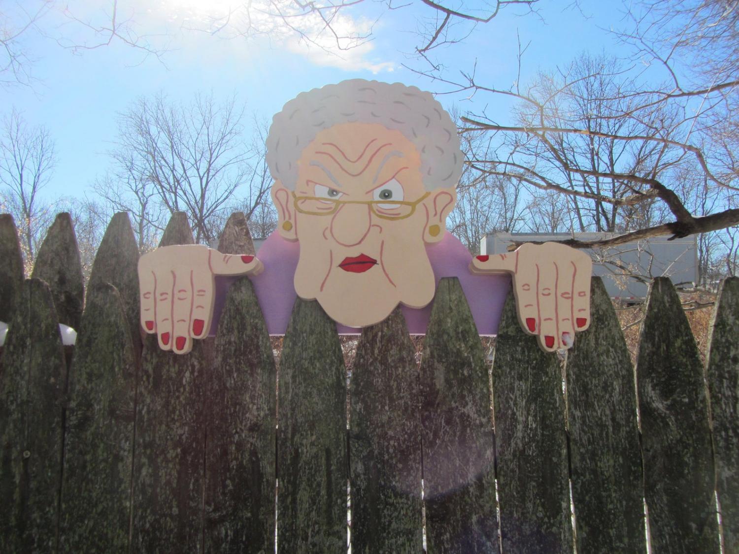 Angry granny fence setter on a wooden fence