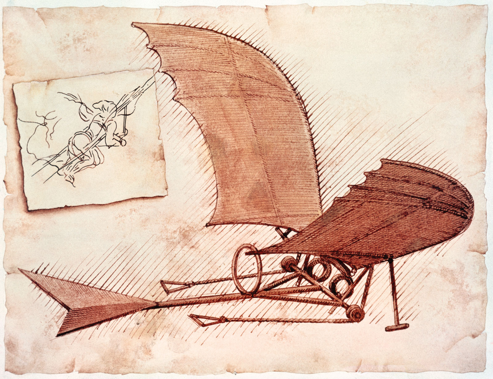 The Ornithopter