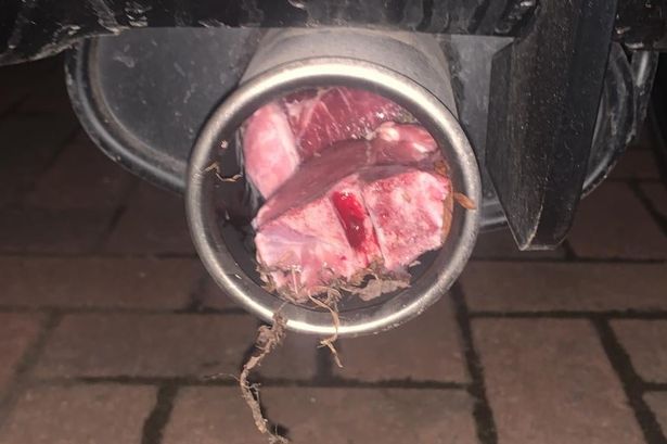 Herefordshire Mystery Meat Attack - Lamb Chops In The Exhaust Pipe Of Their Cars