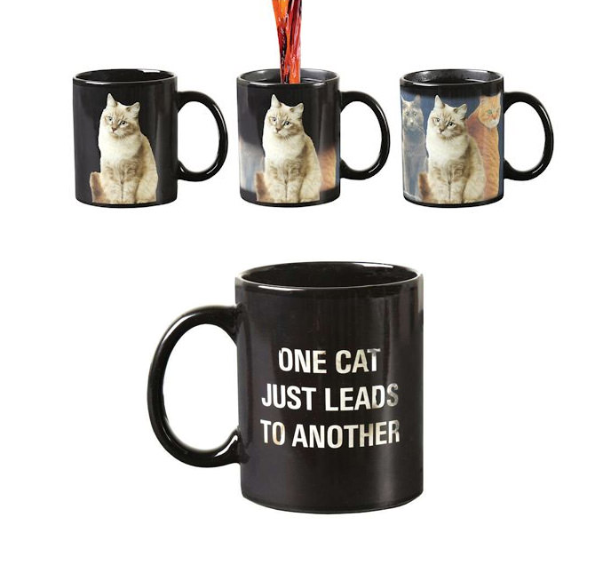 'one cat leads to another' black colored heat changing mug