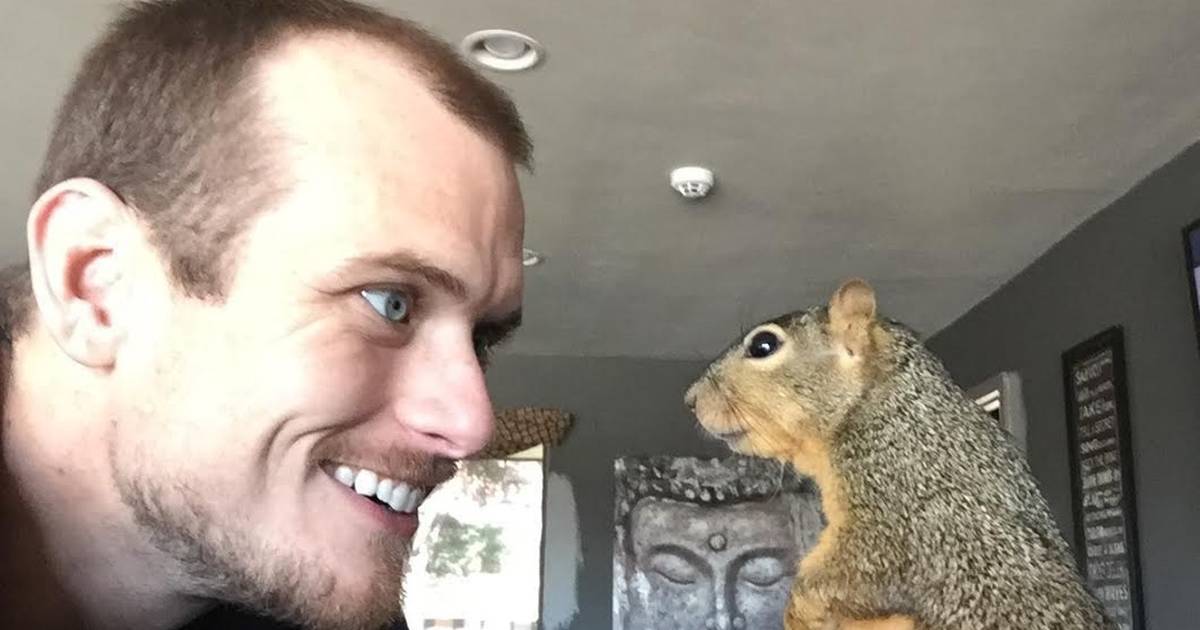 A man and a squirrel are staring at each other inside the house