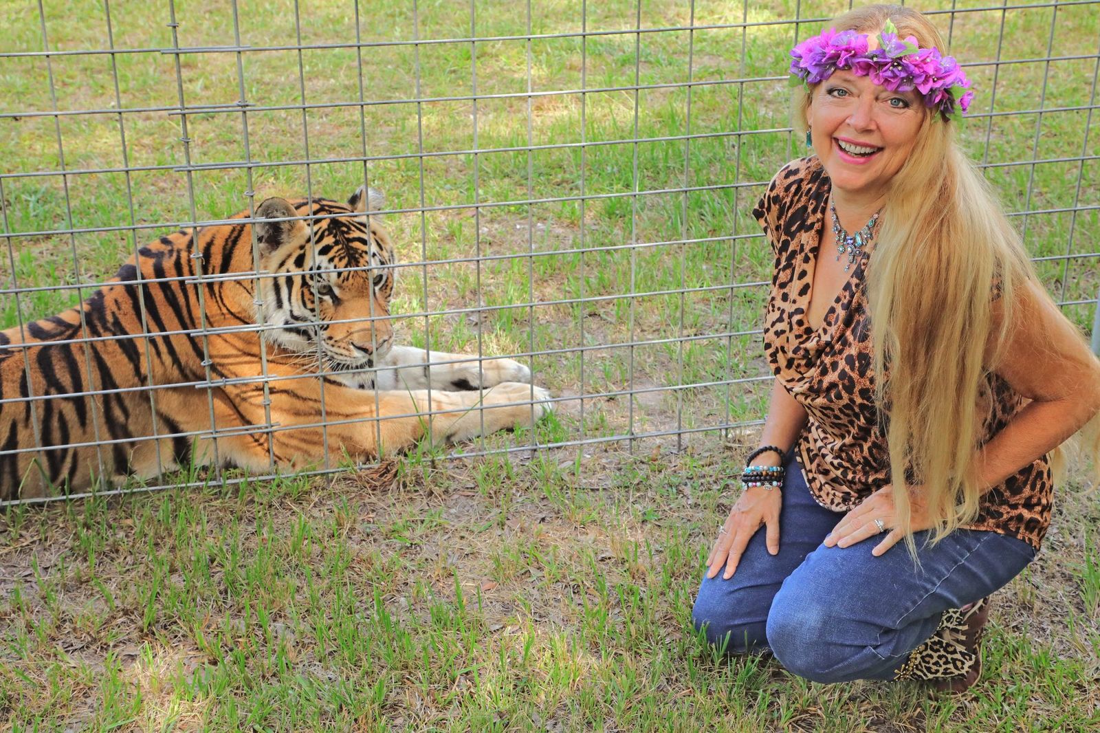 Carole Baskin wearing a cheetah print shirt with jeans sitting next to a tiger on the ground