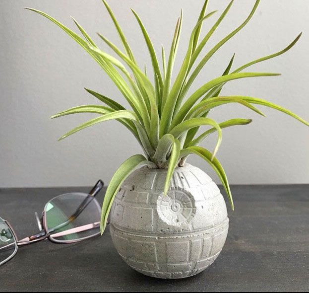 Star wars themed ceramic plant pot with spider plant along with glasses on a grey surface