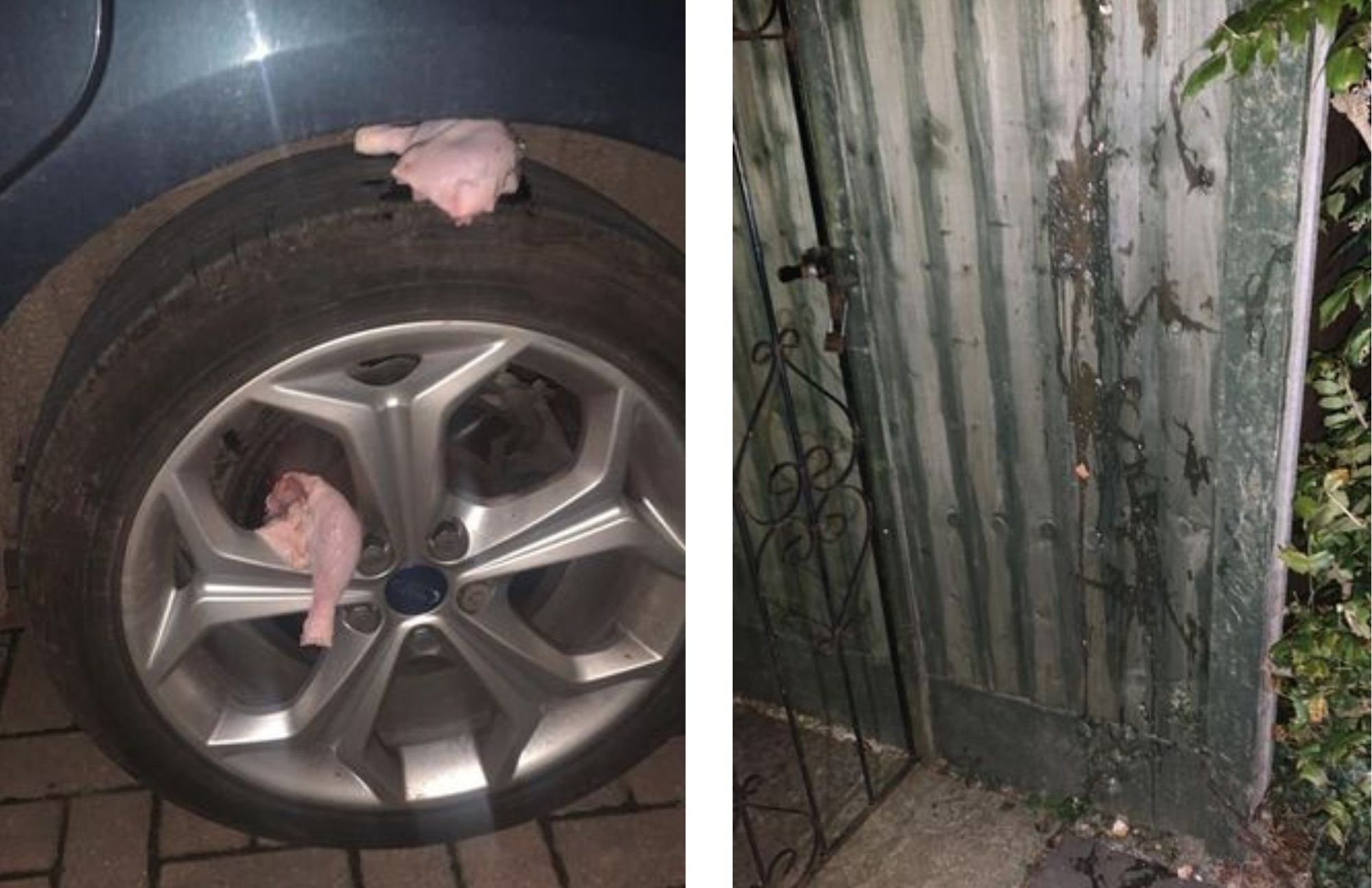 On the left picture is an uncooked chicken legs in a wheel rim of a car and on the right is a stains of egg white on a fence