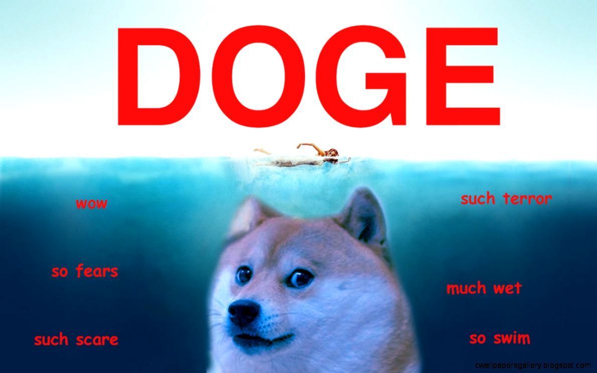 A dog undewater with a person swimming above