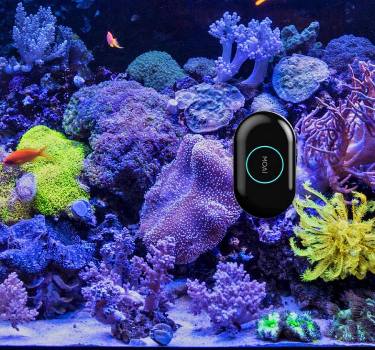 A black robot on the aquarium which contains multi colored coral reef and orange fish