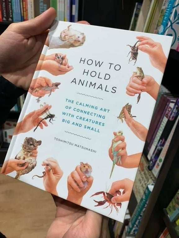 How To Hold Animals? You Can Read It In This Book!