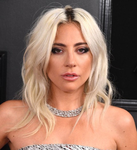 Lady gaga wearing a silver dress and a diamond necklace with blow-dry hair