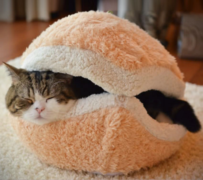 A grey-black cat sleeping in a skin and white fluffy cheeseburger cushion