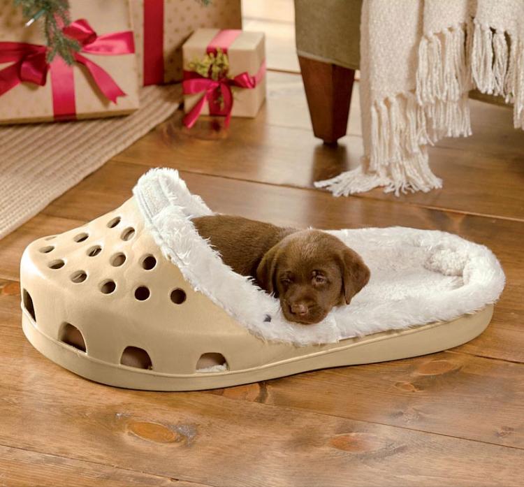 A brown dog resting in a skin slipper-shaped comfy bed on a wooden floor