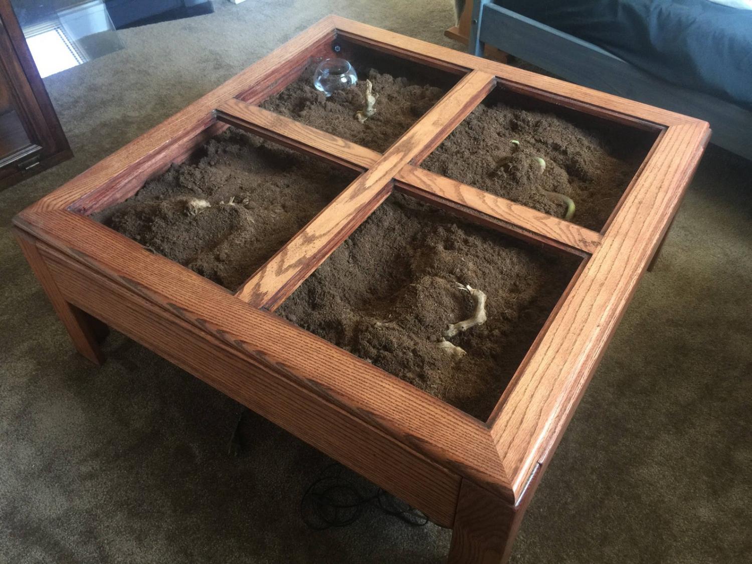The brown wooden frame of the Terrarium Coffee Table divided into our parts filled with soil