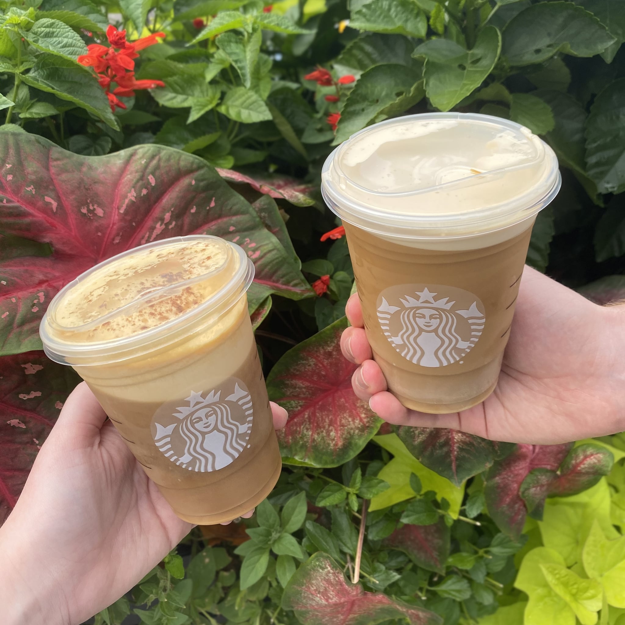 A pair of Starbucks nitro cold brew with sweet cream