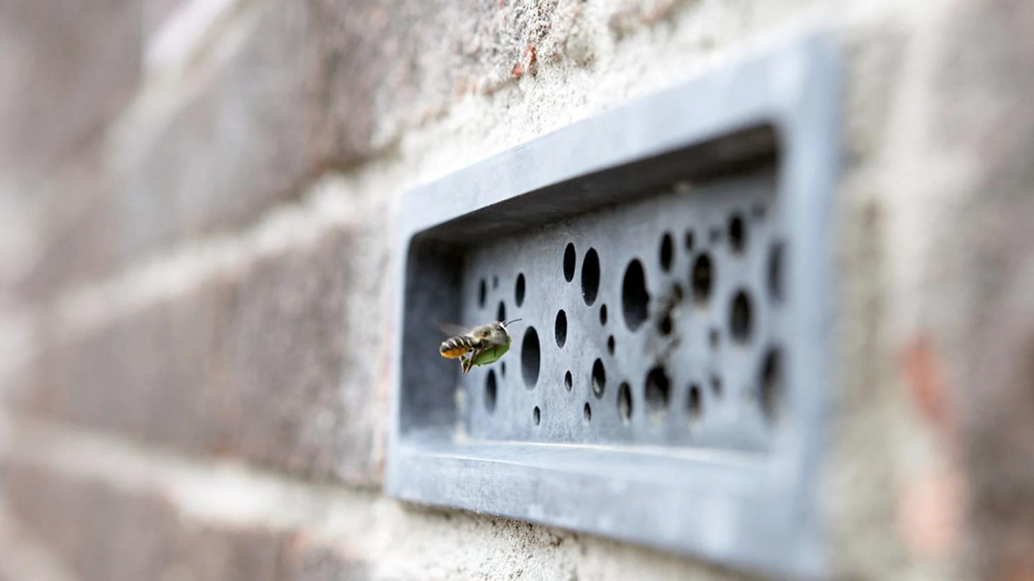 Bee bricks for your home nest space