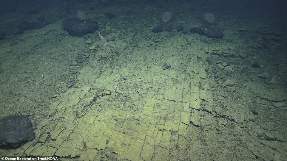 Hyaloclastite Formations In Hawaii That Look Like Brick Roads Of A Sunken City, Atlantis