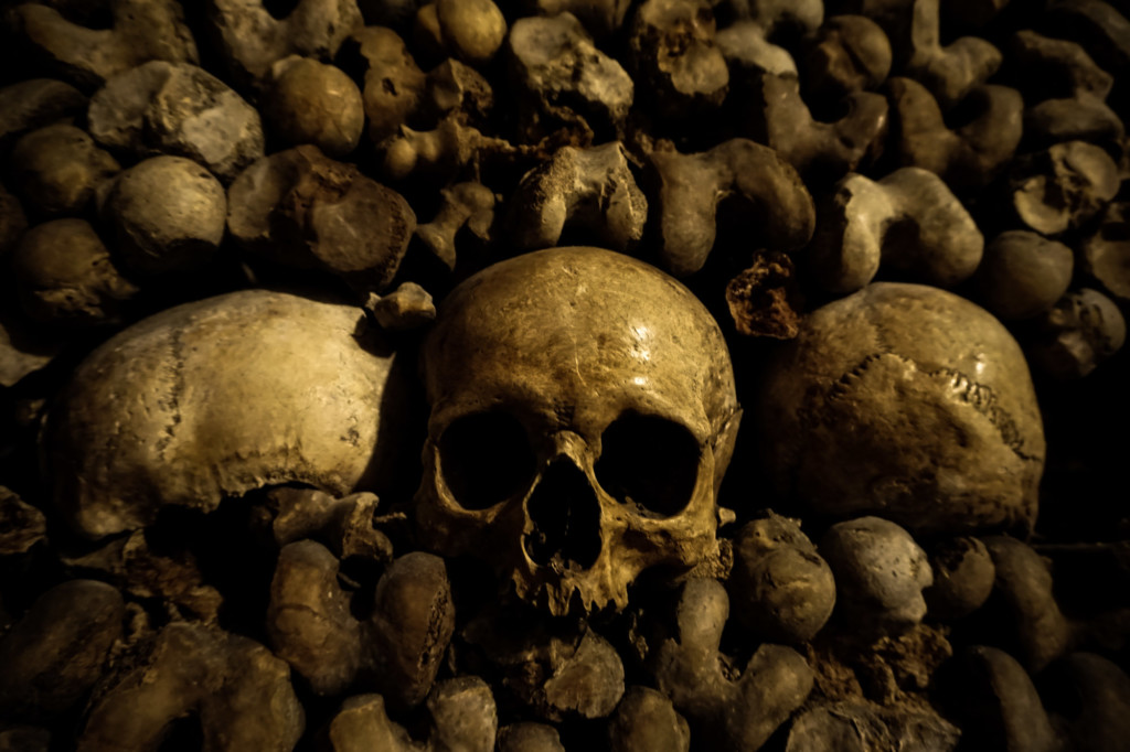 Catacombs Of Paris - Where A Throne Chair Is Made Of Human Remains