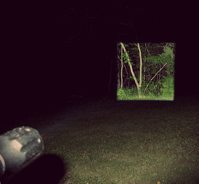 A strong square beam flash light showing a square part of forest in the night