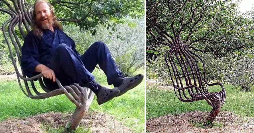This Australian Artist Peter Cook Uses Pooktree Method To Create Chairs With Tree Branches