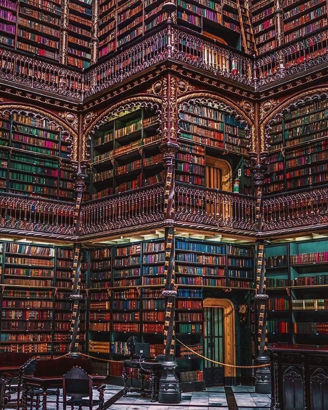 A close up shot of book shelves of royal Portuguese library cabinet
