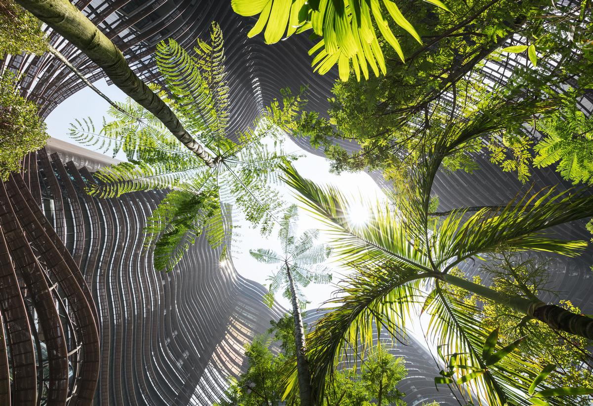 The Jungle In The City - Singapore Leads The Way