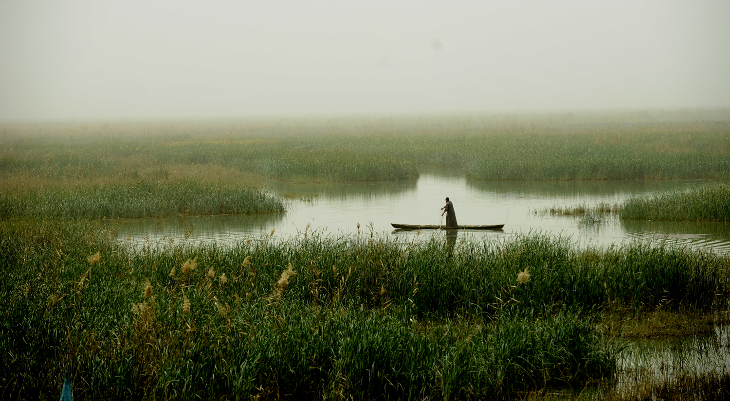 Mesopotamian Marshes - The Mystery Of Iraqi Marshes