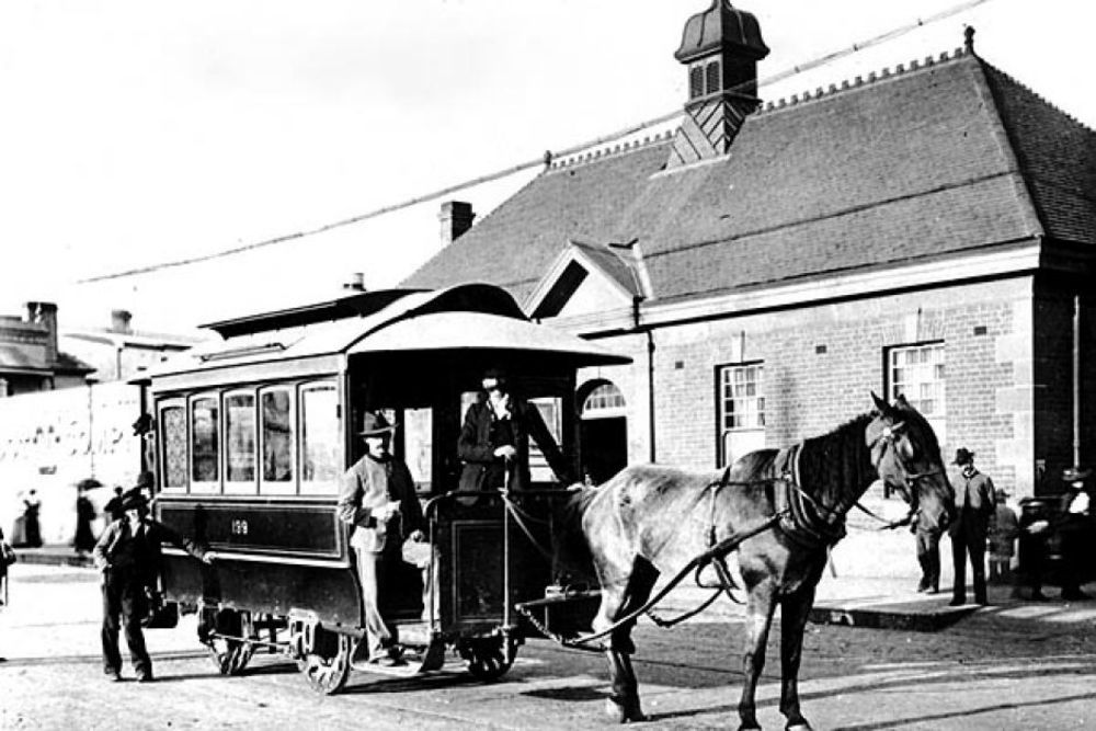 People driving horse-drawn omnibuses in Australia