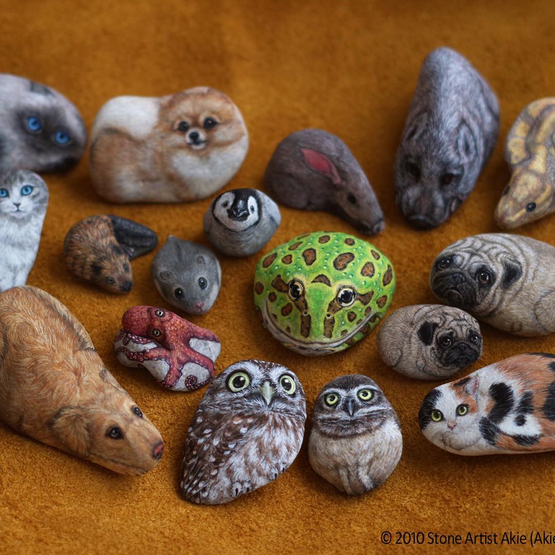 Realistic paintings of a brown dog, owls,cat, and hippos on stones placed on a brown rug