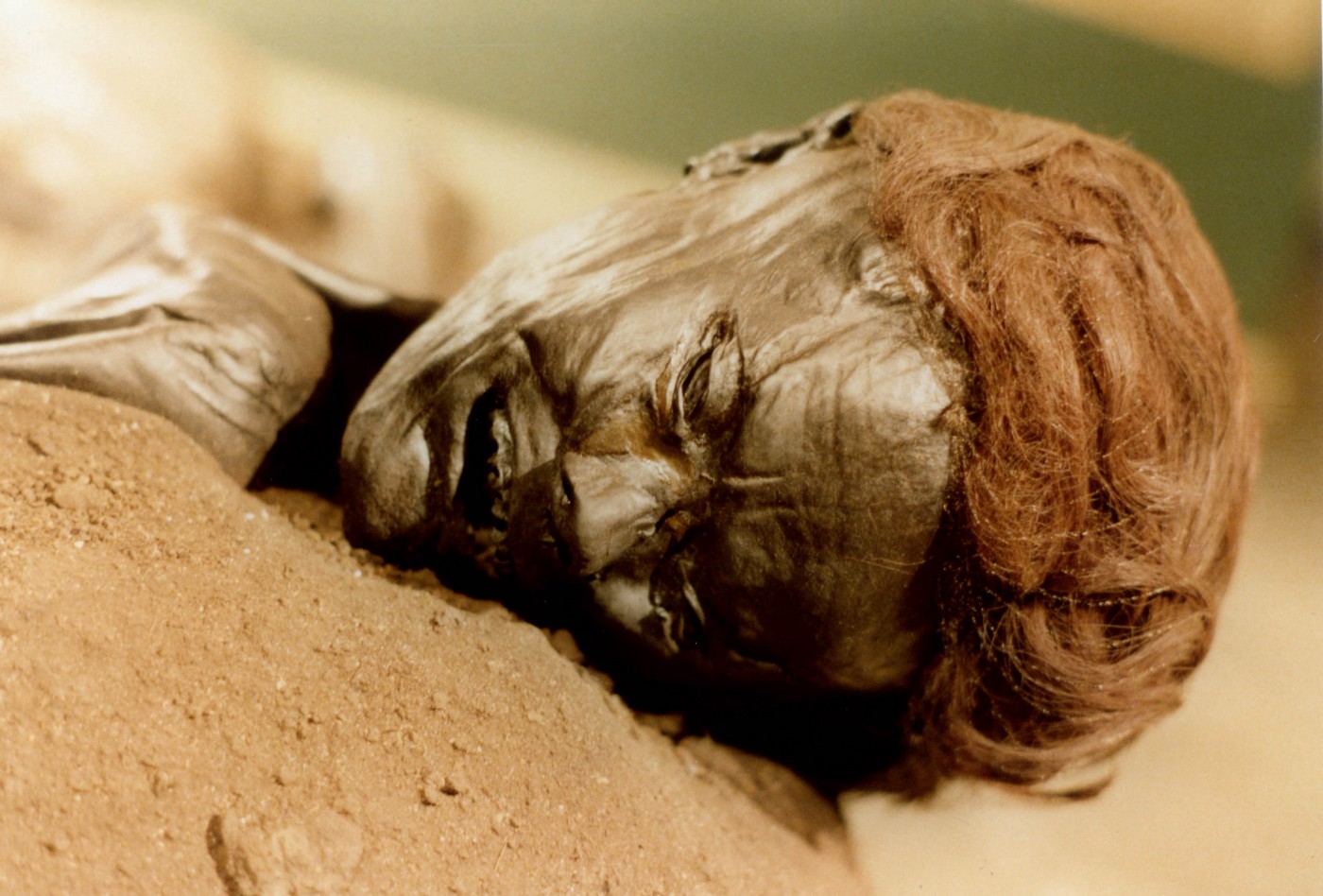 A close up shot of tollund man's face on the sand