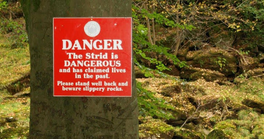 A red-colored danger sign on a tree near the strid stream