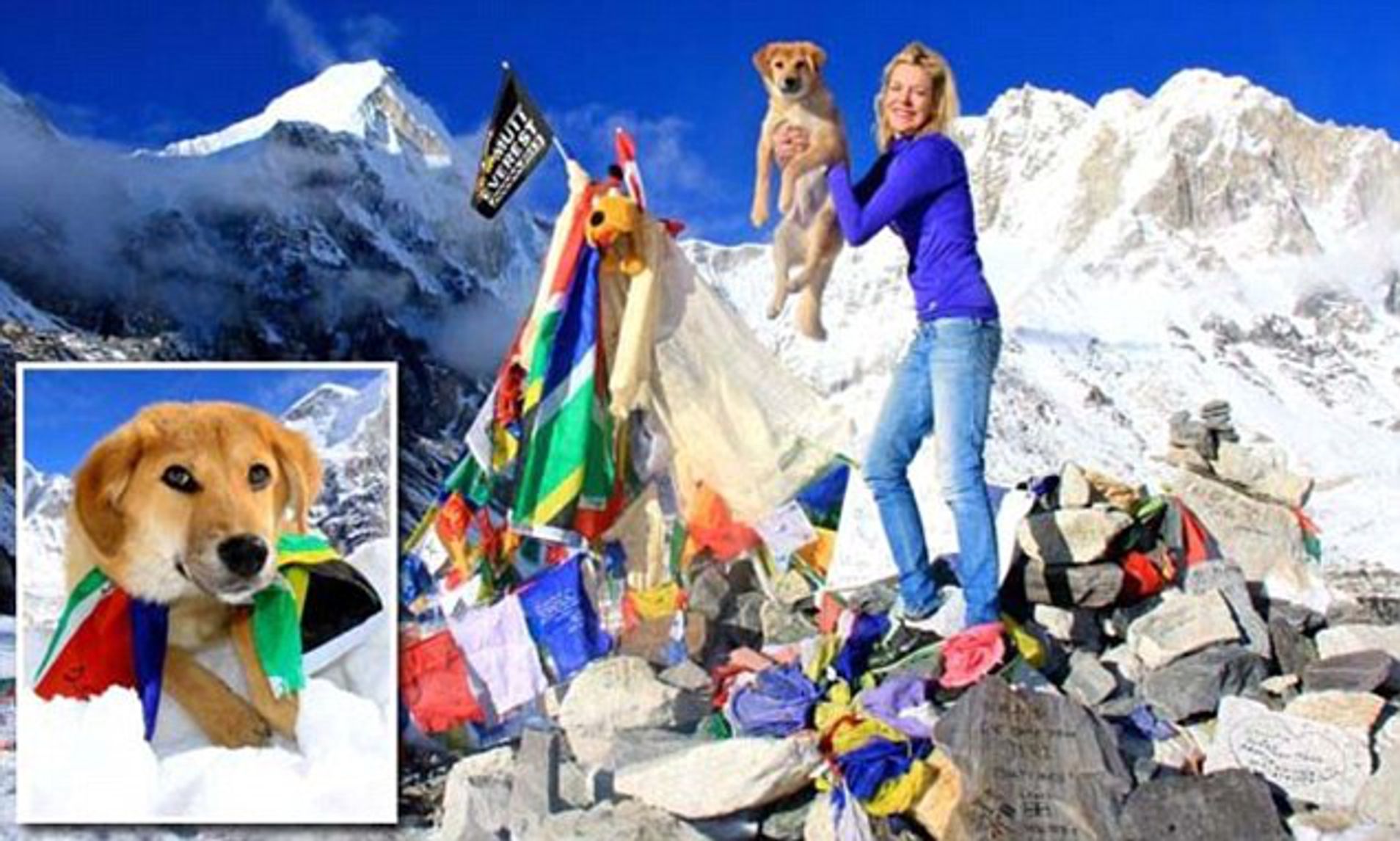 This First Documented Indian Dog Rupee Reached The Mount Everest Base Camp