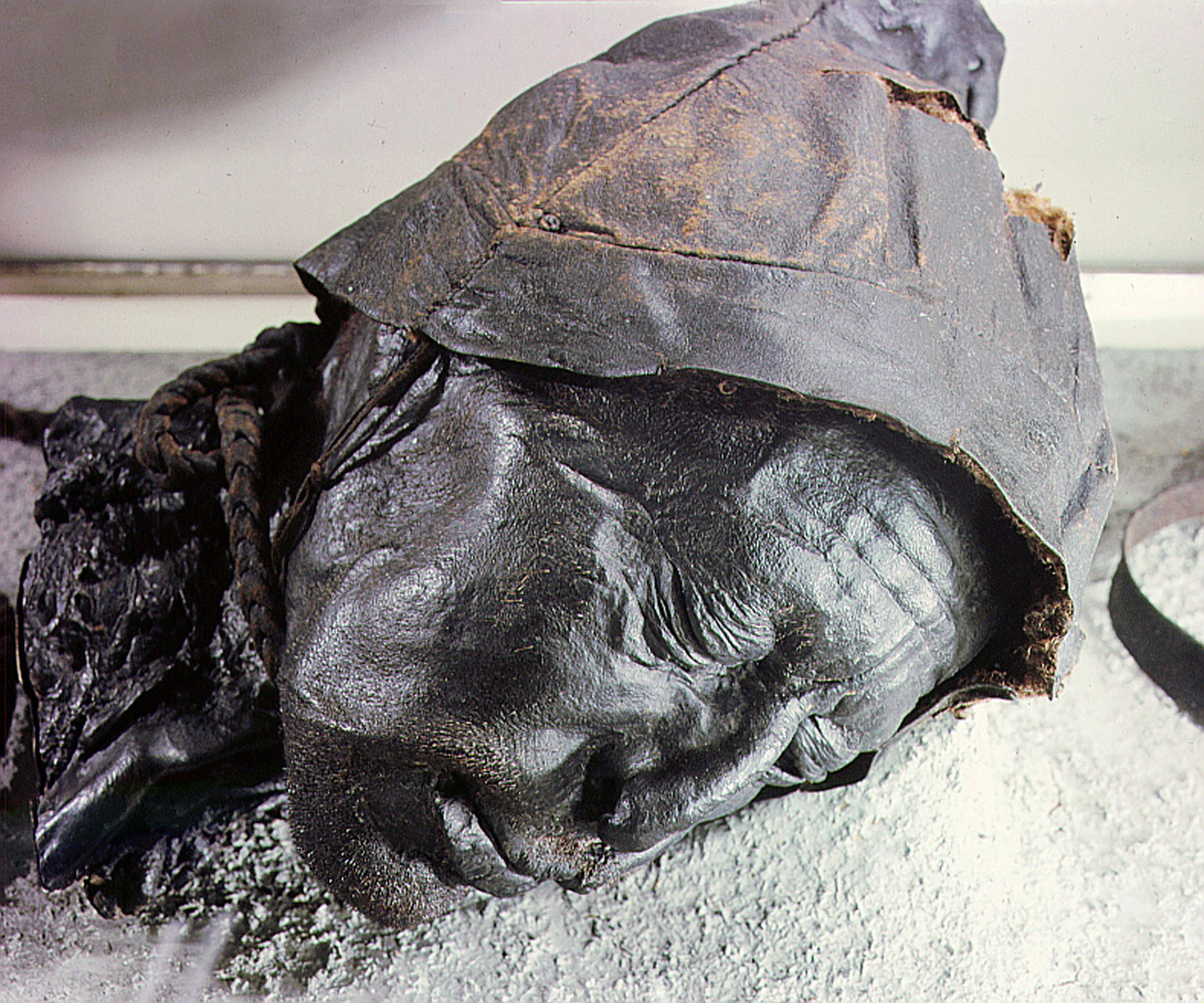 Tollund Man - 2300-Years-Old Mummified Corpse Of A Man