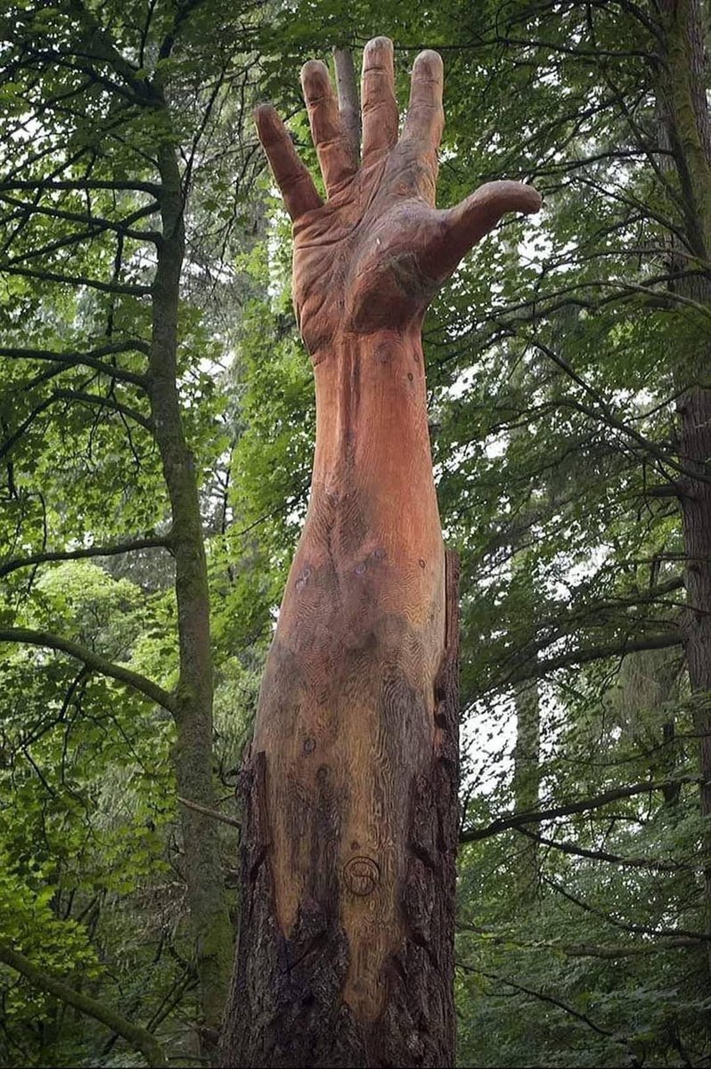 A giant hand sculpted from a largest tree of wales that was hit by storm