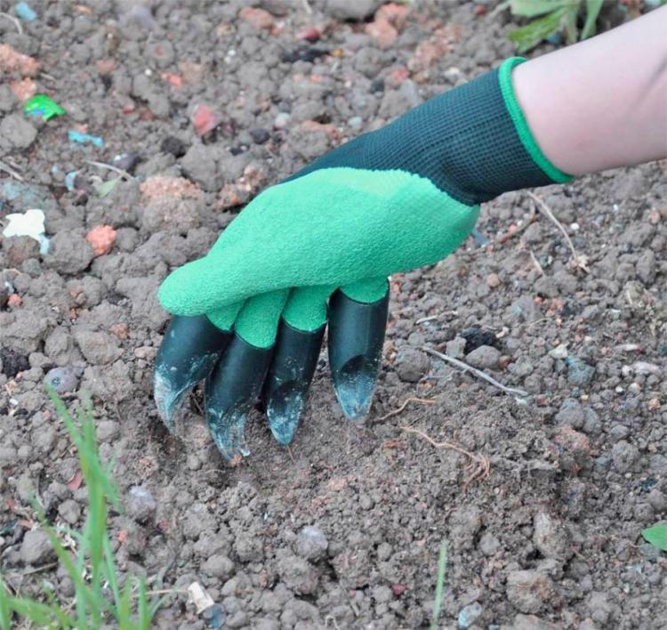 Green colored genie gloves in the soil