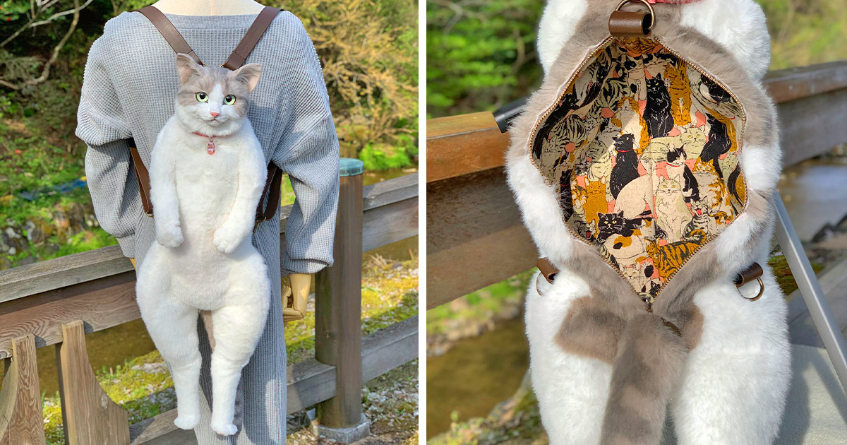 A man wearing a realistic cat backpack; inside view of a realistic cat backpack