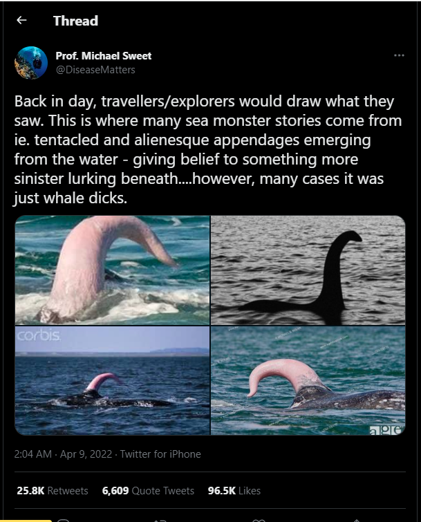 A twitter post of Michael Sweet on how loch ness and a whale's penis resembles
