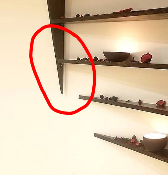 Brown colored illusion shelf Disappearing Into The Wall Bookshelf