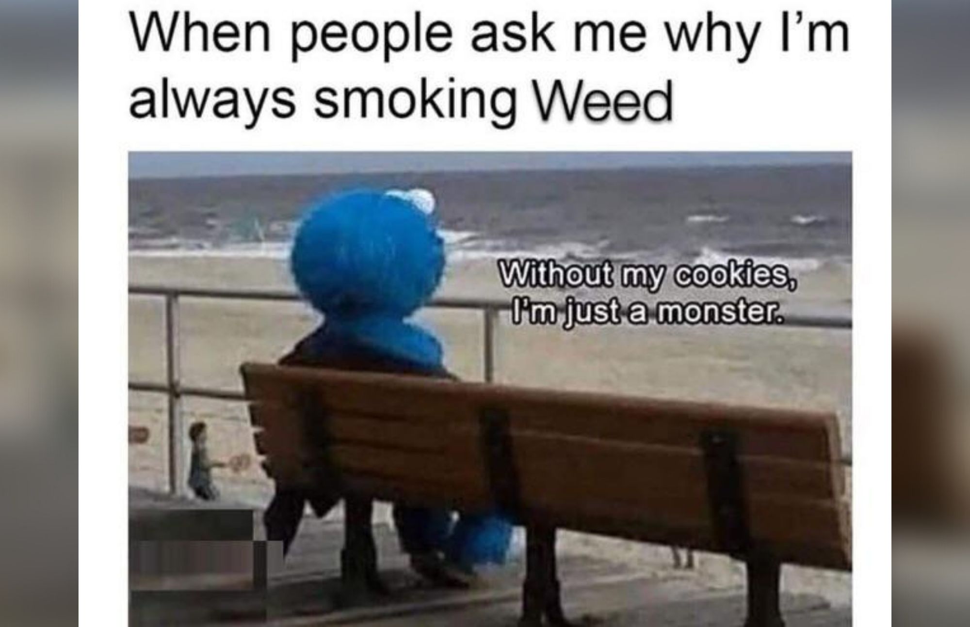 Cookie monster is sitting and in front him is a beach with a meme saying: "When people ask me why I'm always smoking weeds"
