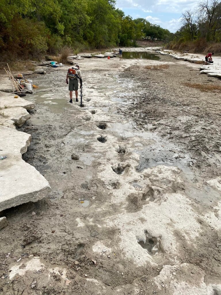 A man investigating the dinosaur footprints found in a dried river