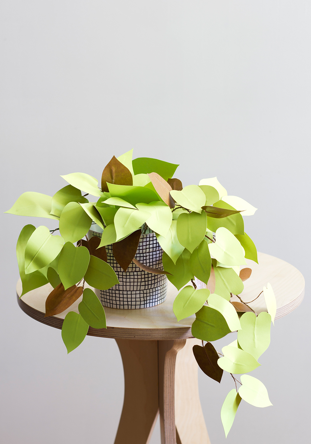 An artificial heart leaf philodendron made of colored paper is placed under the wooden round table