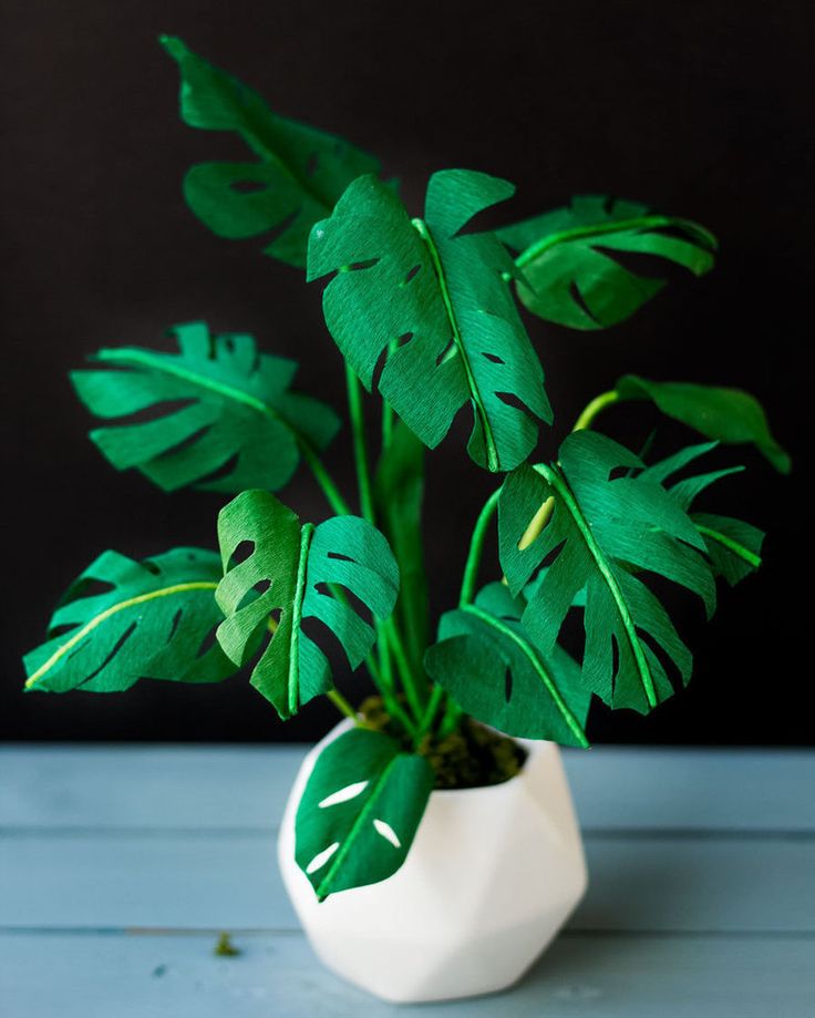 An artificial swiss cheese plant with a white artificial white pot