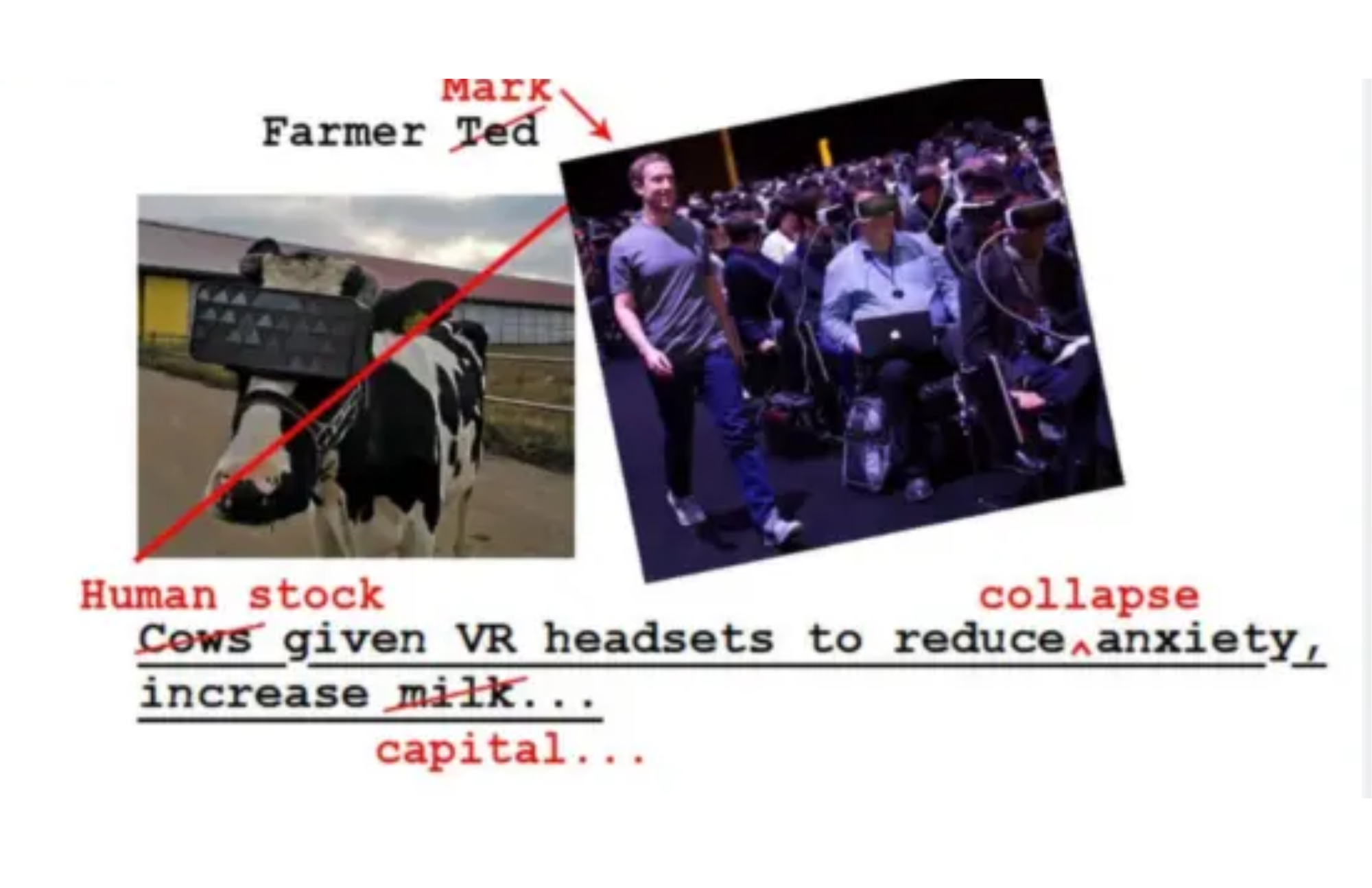 A cow wearing VR headset and crowd wearing VR headsets