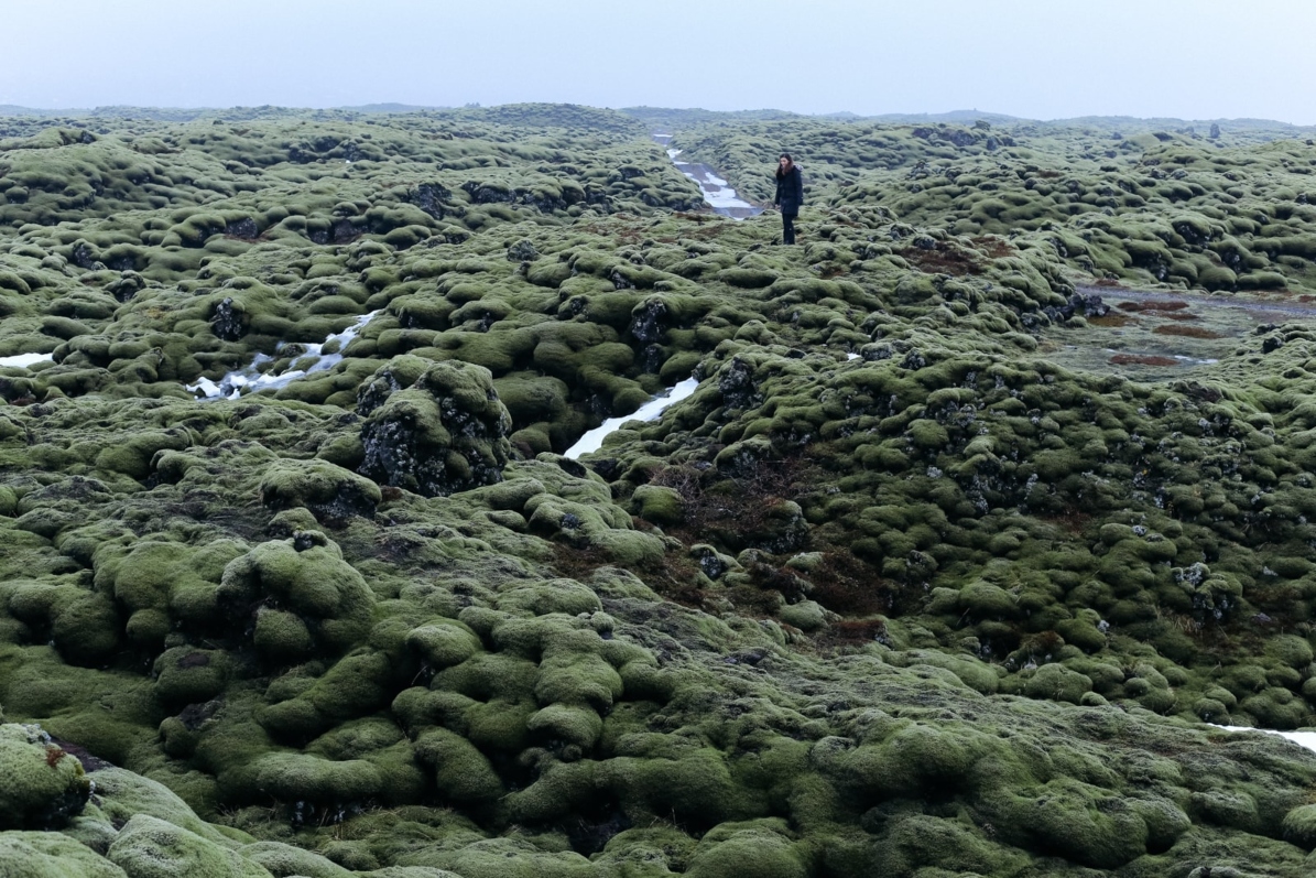 A lady standing on the moss-covered rocks at the Eldhraun lava field