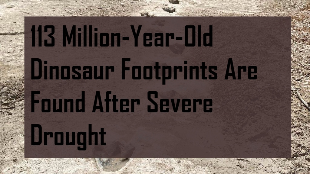 113 Million-Year-Old Dinosaur Footprints Are Found After Severe Drought In Texas