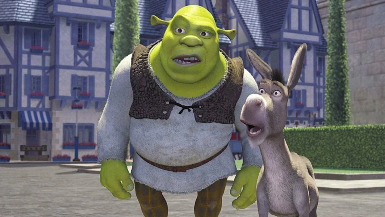 Donkey and Shrek with their surprised faces in Shrek animated movie